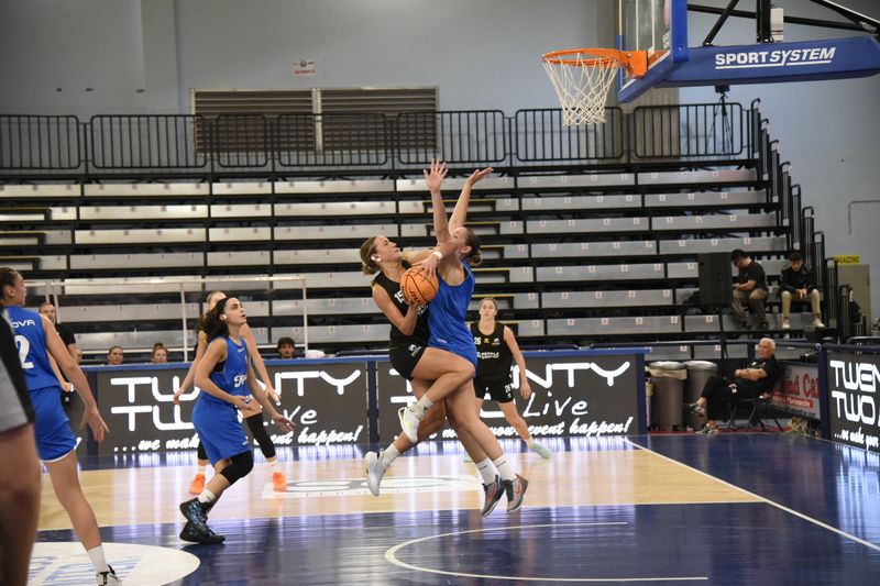 Torneo Città di Campobasso: le Panthers Roseto battono Napoli 